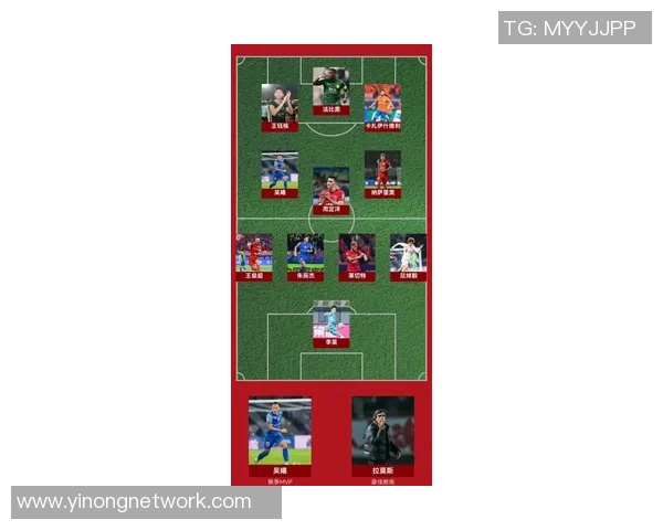 天命足球明星全景解析与详细名单汇总